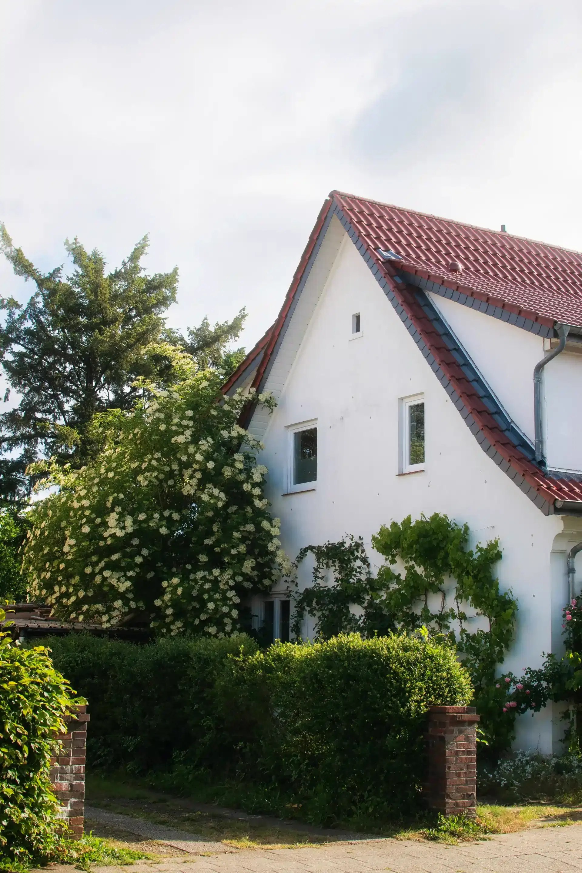 Purchase process background